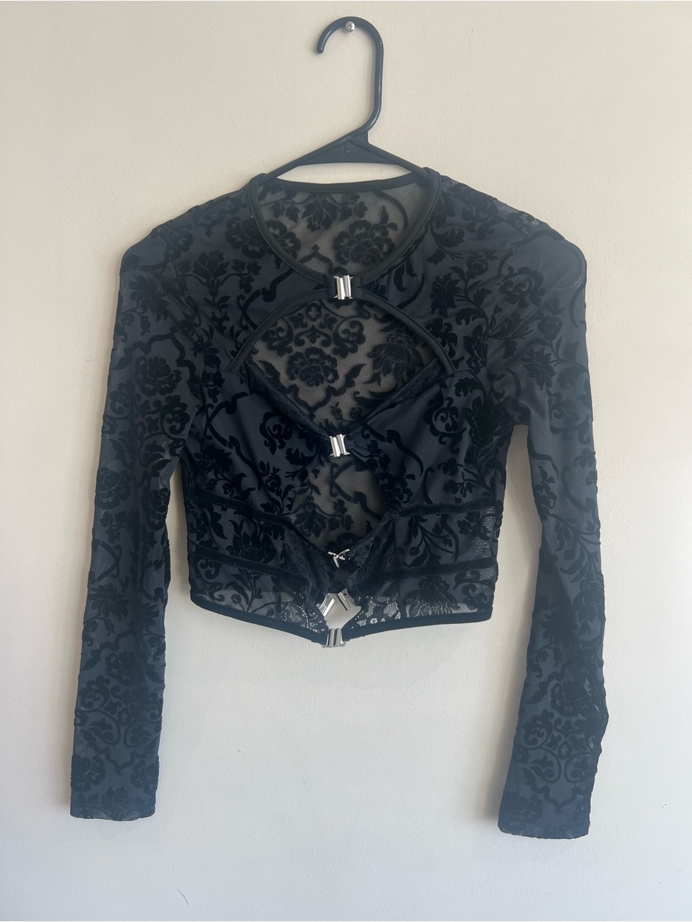 Black Sheer Burnout Velvet Crop Long Sleeve